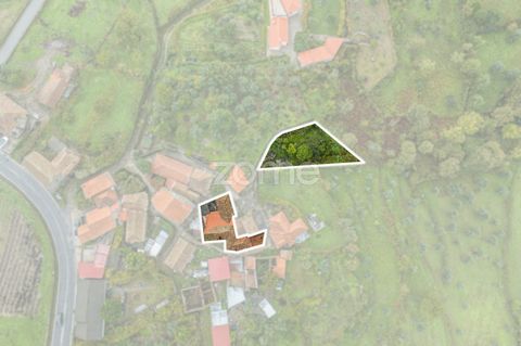 Identificação do imóvel: ZMPT562262 Come and see your new project... 3 houses for recovery, with land to support the houses. Ideal for tourist accommodation , in Ancede, Baião, close to shops, services and the Ovil River, with a picnic area and leisu...