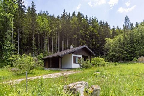 Diese besondere Ferienwohnung für maximal 4 Personen befindet sich in Ferlach im Bodental in Kärnten, am Fuße der Karawanken in der Ferienregion Wörthersee. Ferlach ist ein guter Ausgangspunkt für Wanderungen in den Karawanken und Radtouren auf dem D...