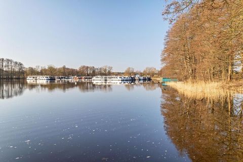 Il piccolo e tranquillo villaggio di Buchholz è situato in posizione idilliaca sul lago Müritz, un'estensione del Müritz, e si trova nella regione dei laghi del Meclemburgo. Confinante con prati, campi, boschi e molta acqua, Buchholz appartiene al di...