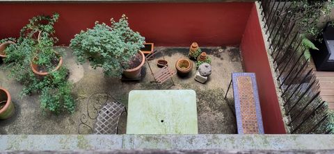 photo no. 17