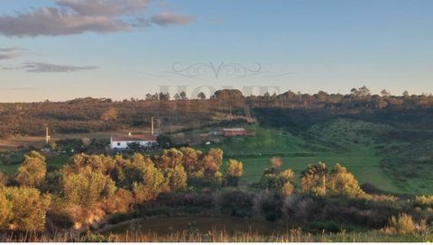 Aljezur è un vasto rettangolo delimitato dal mare e dalle montagne. Un villaggio segnato dalle alte scogliere dove nidificano sabbie e dune, un interno con un susseguirsi di orizzonti ricoperti di vegetazione dove si mantiene la tradizione di coltiva...