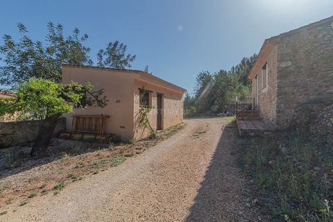 Il s'agit d'une occasion unique d'acquérir cette fantastique finca composée de trois propriétés avec un total de douze chambres et huit salles de bains, située au pied de la montagne Bernia dans le village populaire de Jalon. Cette impressionnante pr...