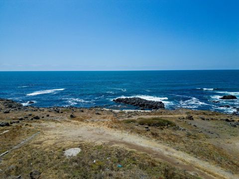 Lote privilegiado frente al mar en Ex Ejido Úrsulo Galván Imagínese despertarse con el sonido de las olas rompiendo y salir de su futuro hogar con impresionantes vistas panorámicas del océano. Este amplio lote de 13,638 pies cuadrados frente al mar e...