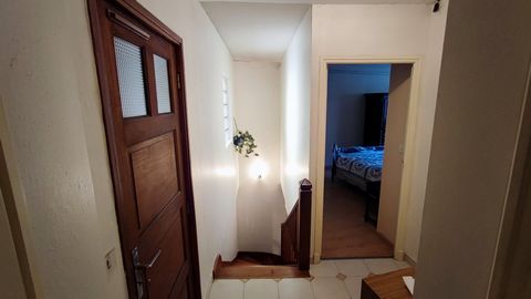 photo no. 12