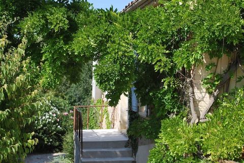 photo no. 17