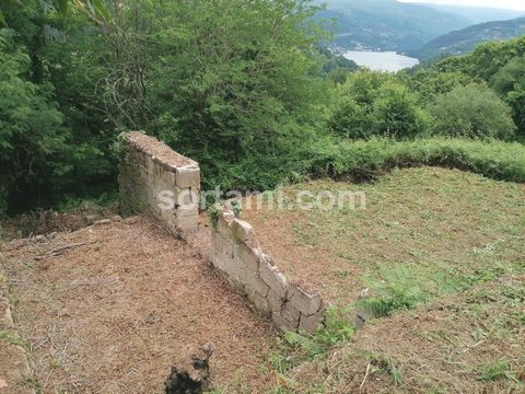 Propriété de 5,5 hectares au potentiel inégalé sur les rives du fleuve Douro Imaginez posséder un coin de paradis au cour de Marco de Canaveses, où la beauté naturelle se confond avec la riche histoire du fleuve Douro. C´est l´opportunité qu´offre ce...