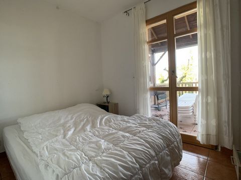 photo no. 12