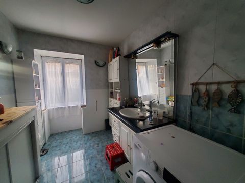 photo no. 11