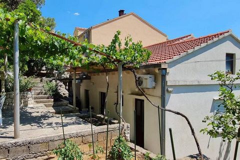 Apartments Maruška are self catering accommodation located in Sobra on the island of Mljet, only 15 meters from the sea and beach. Free private parking is provided on site, reservation is needed. Luggage storage is possible prior check in and after c...