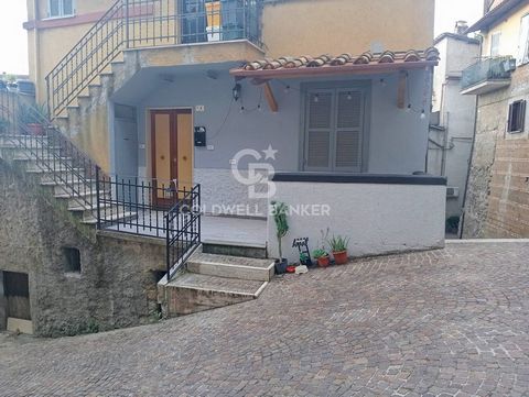 Carbognano- A due passi dalla Piazza del Comune nel centro storico del paese . Proponiamo un comodissimo appartamento con entrata indipendente, Internamente la proprietà è composta da una zona giorno con ampio salone con balcone panoramico, una cucin...