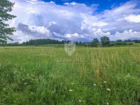 Location: Istarska županija, Poreč, Poreč. Kaštelir, agricultural land full of potential! This spacious agricultural plot of great potential is for sale in a small village in Kaštelir. Its total area is 32619 m2. There used to be a farm building of 2...