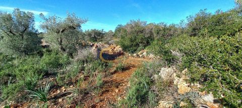 Terrain rustique, entouré d'un mur en pierre, avec accès par un chemin de terre à 260 mètres de la route N270. Composé de parcelles d'oliviers et de caroubiers épars. Situé à environ 2 minutes de la route N124, à 4 minutes du rond-point accédant aux ...