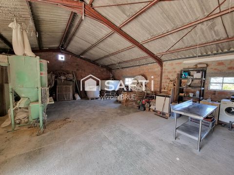 photo no. 13