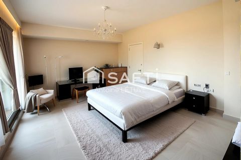 photo no. 10