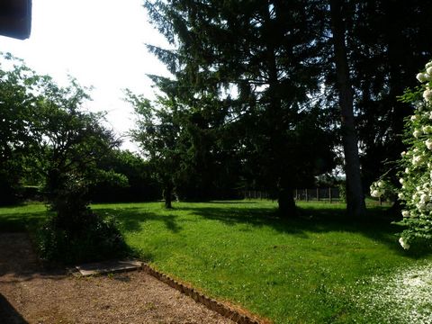 photo no. 9
