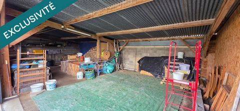 photo no. 14