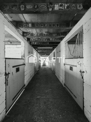 photo no. 17