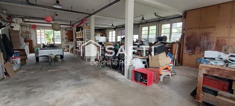 photo no. 15