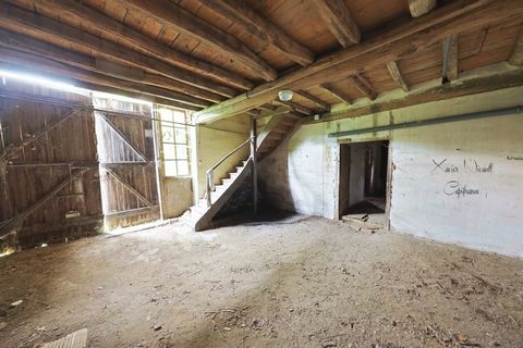 photo no. 2