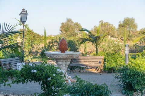 Los exteriores son fantásticos. En ellos disponen de una magnífica piscina de sal, con un tamaño de 5.5 x 3 m y una profundidad que va de 1.15 m a 1.7 m. Alrededor de la piscina hay una ducha y una área pavimentada en la que podrán descansar tomando ...