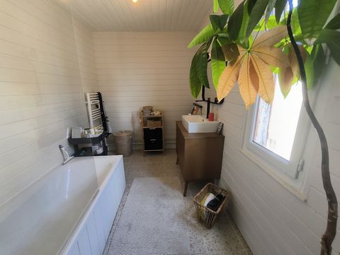 photo no. 12
