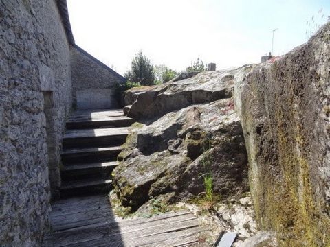 photo no. 2