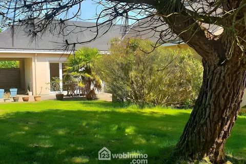 Maison - 151.35m² - Chalonnes-sur-Loire