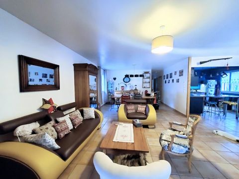 photo no. 11