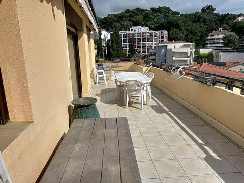photo no. 19
