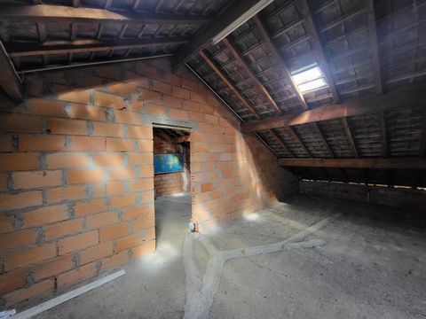 photo no. 17