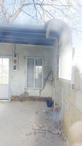 photo no. 2