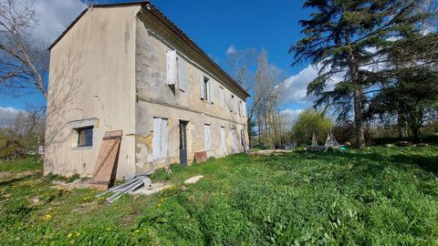 photo no. 15
