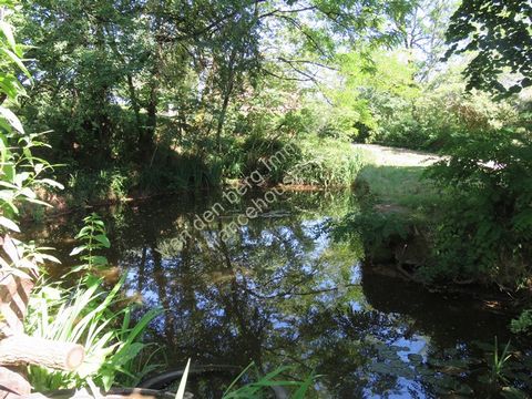 photo no. 11