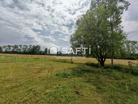 photo no. 2
