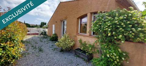 photo no. 11