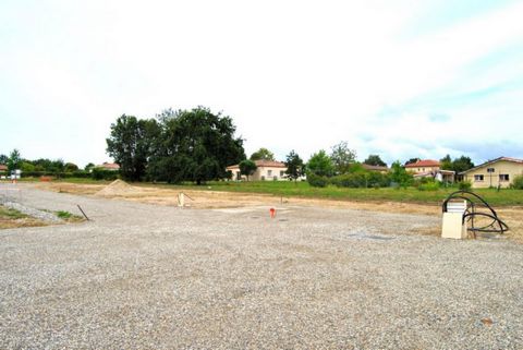 photo no. 2