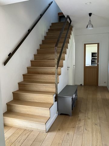 photo no. 12