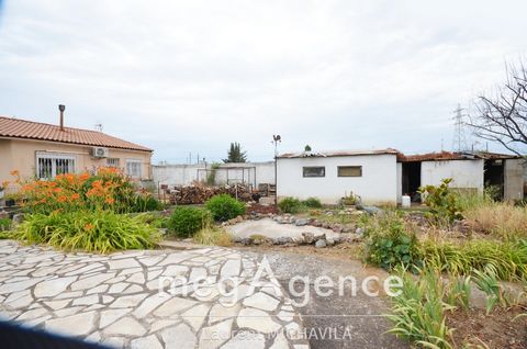 photo no. 12