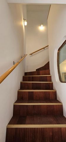 photo no. 11