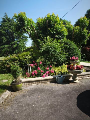 photo no. 11