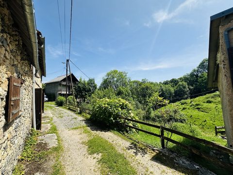 photo no. 2