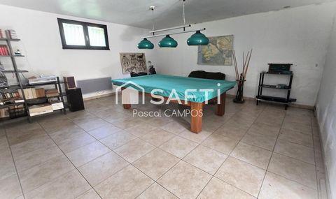 photo no. 11