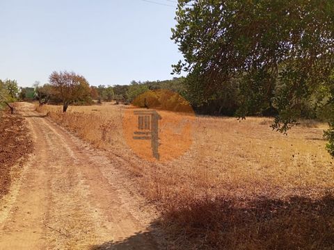 Terreno rustico Bons acessos, limpo e direito, apenas mato numa das estremas. Tem possibilidade de plantação de quaisquer arvore de fruto, pela qualidade da terra, clima da região e localização. Pode ainda dar frutos á sua imaginação e elaborar o seu...
