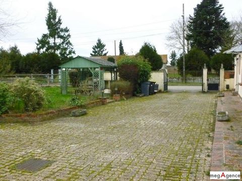 photo no. 7