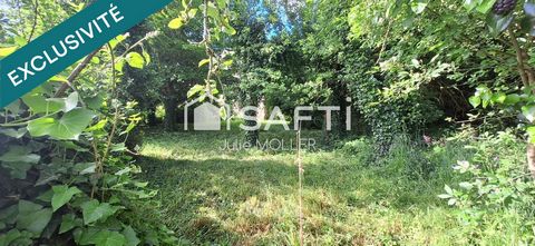 photo no. 9