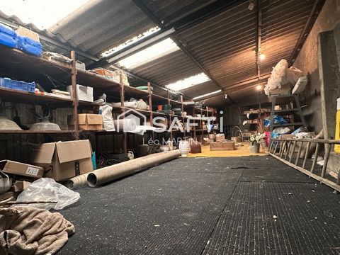 photo no. 11