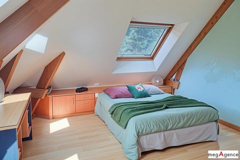 photo no. 11