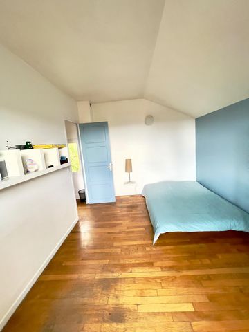 photo no. 8