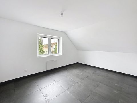 photo no. 7