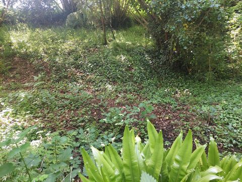 photo no. 9